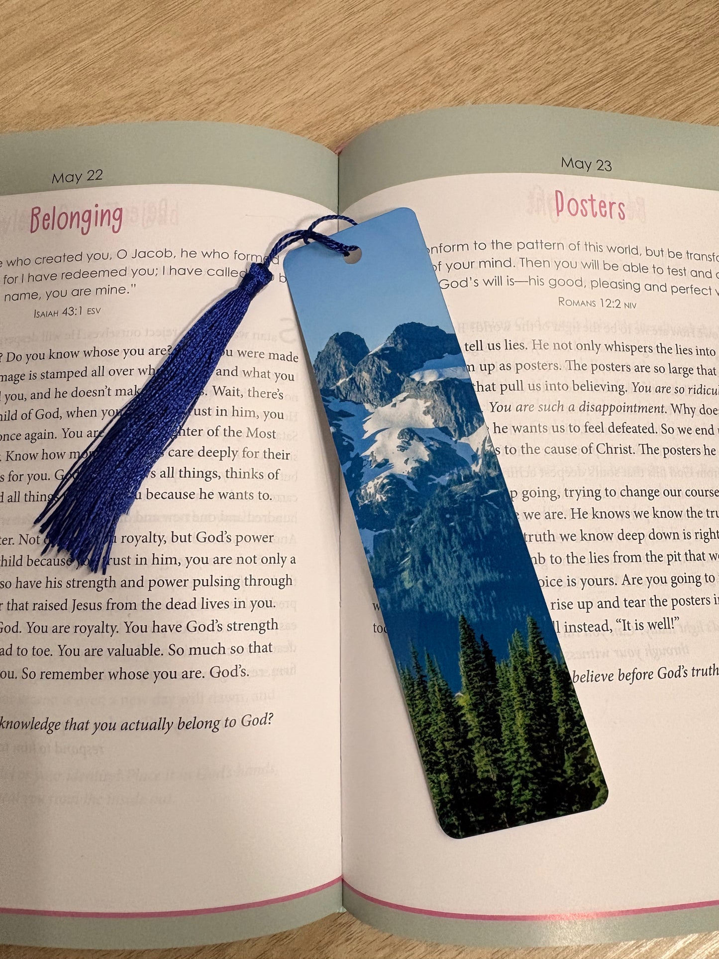 Mountain bookmark