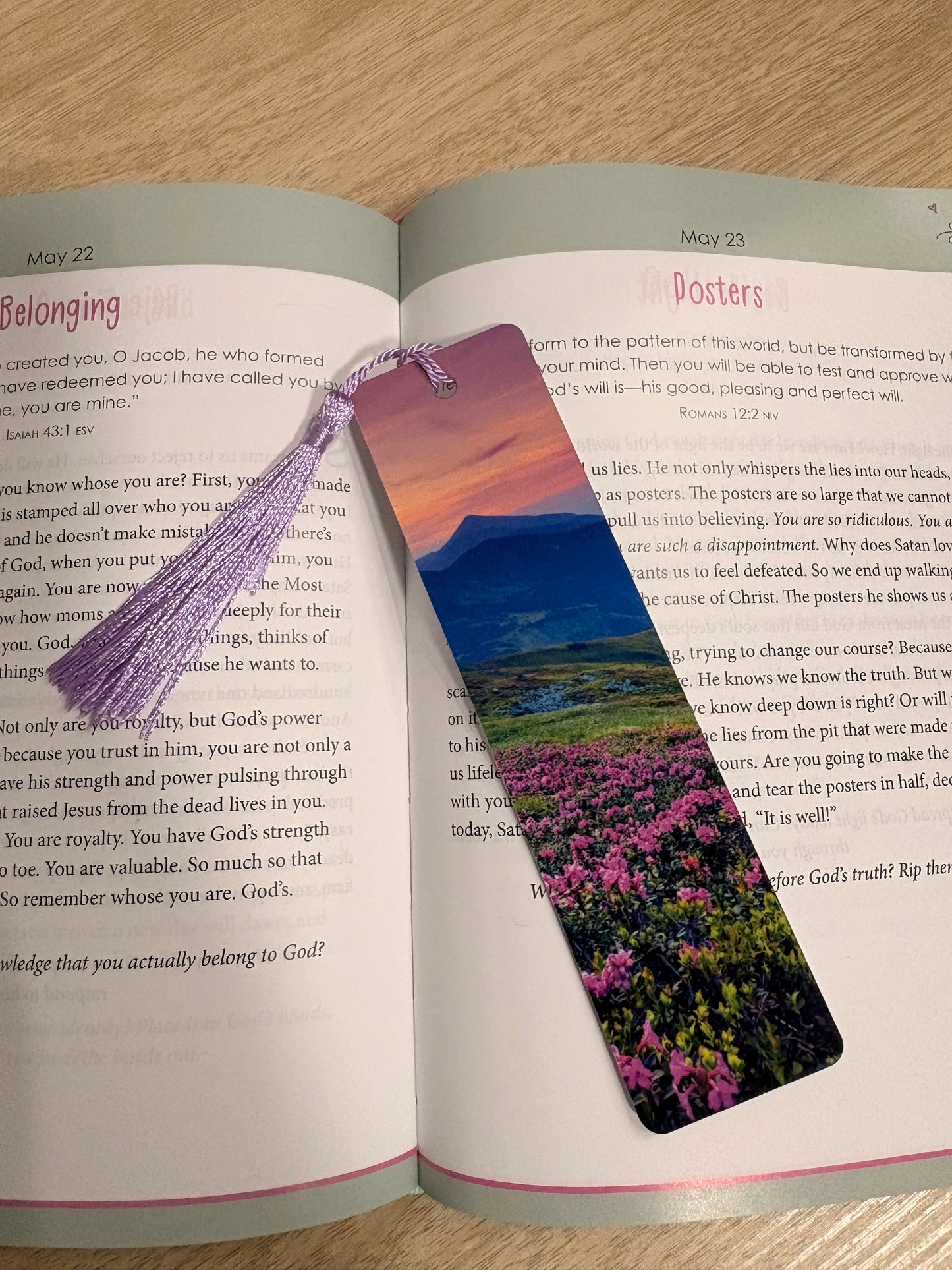 Mountain bookmark