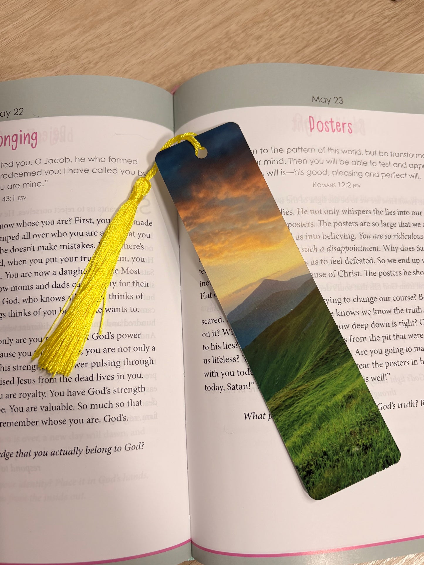 Mountain bookmark
