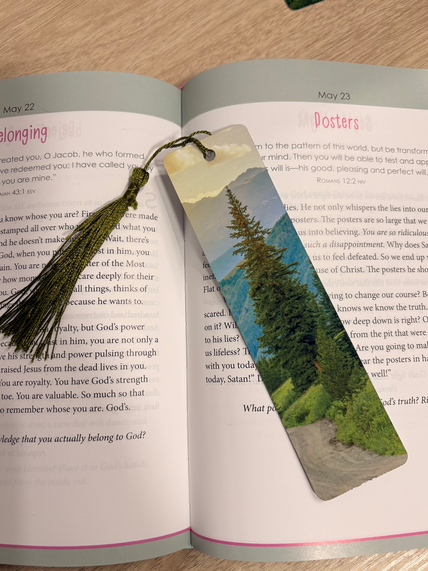 Mountain bookmark